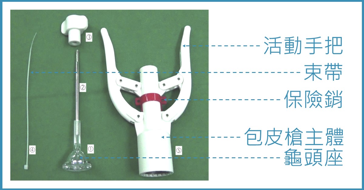 包皮槍手術流程定位示意