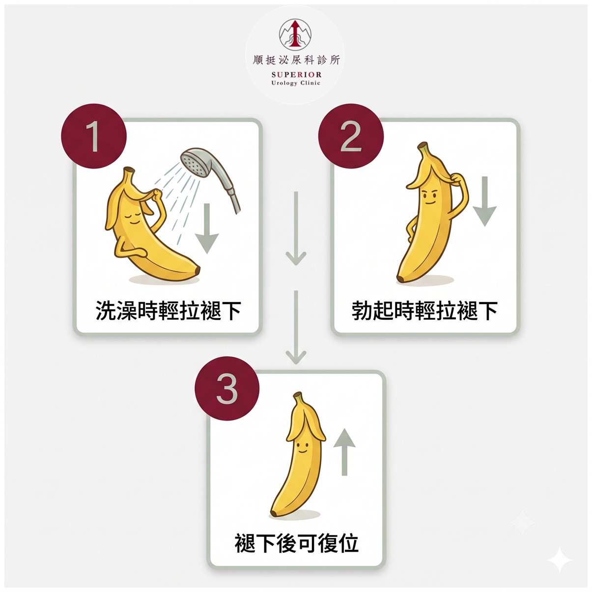 3 步驟自我檢測真包莖或假包莖