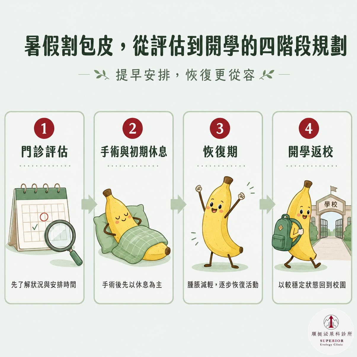 暑假割包皮時間規劃流程圖:門診評估、手術休息、恢復期到開學返校四階段